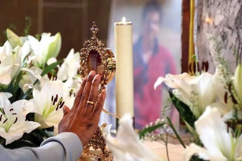 St. Carlo Acutis Relic Tour Collaboration with CCO 2024